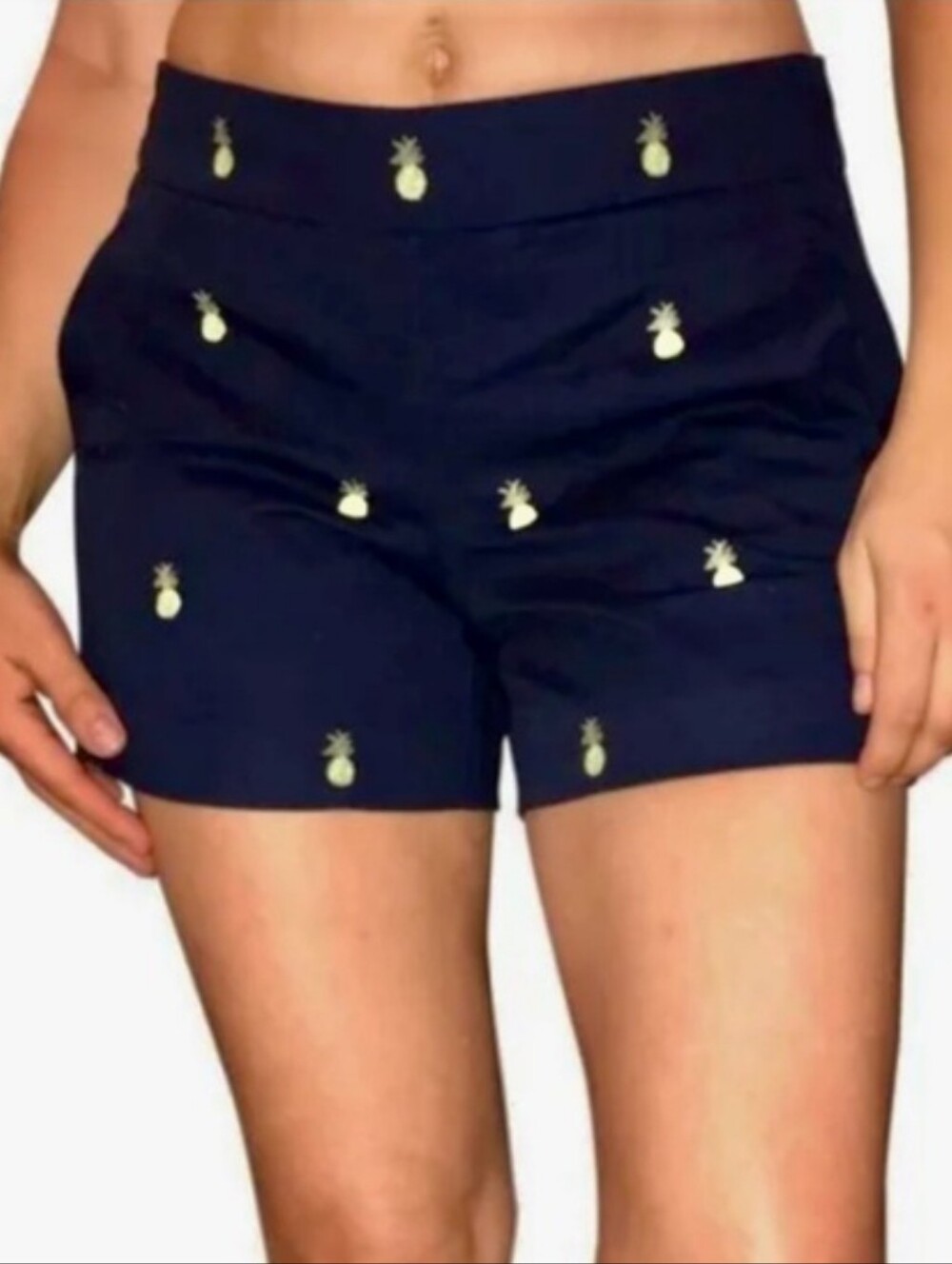J.Crew Pineapple Embroidered City Fit Chino Shorts Sz 10